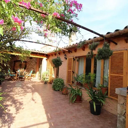 Gato Den Vives Casa 4 Con Piscina